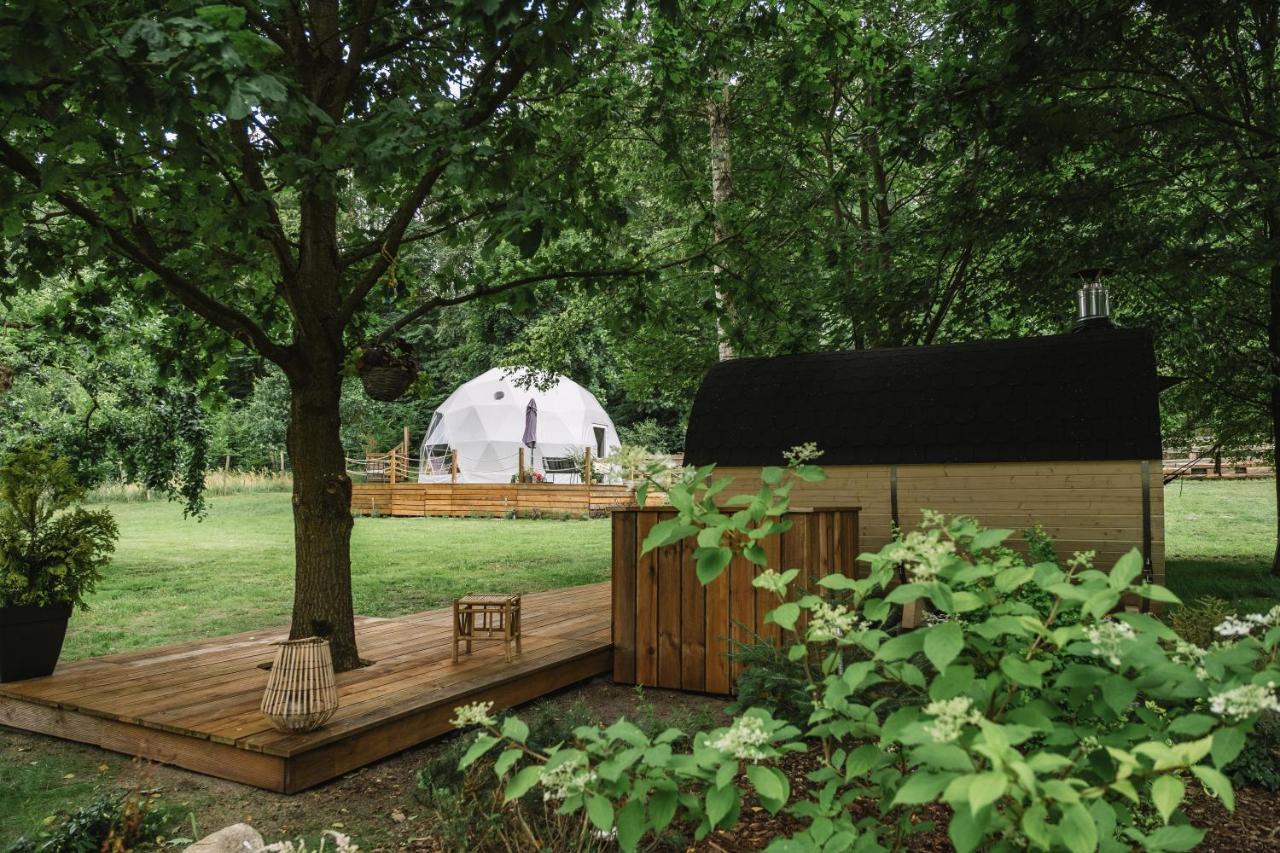 Glampingsantoczno